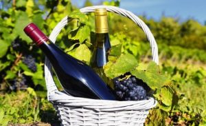 Cosecha de vino