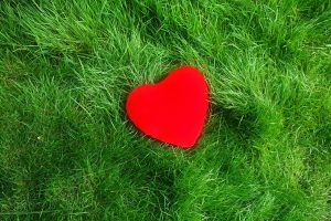 heart-1585673_1280